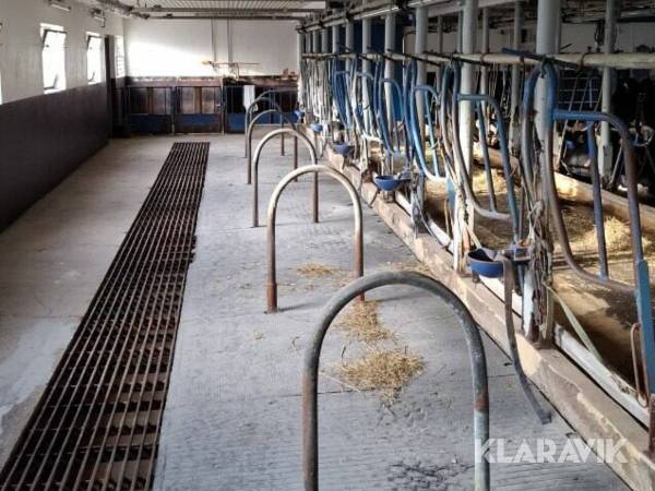 Komplett mjölkanläggning DeLaval 32st platser uppbundet