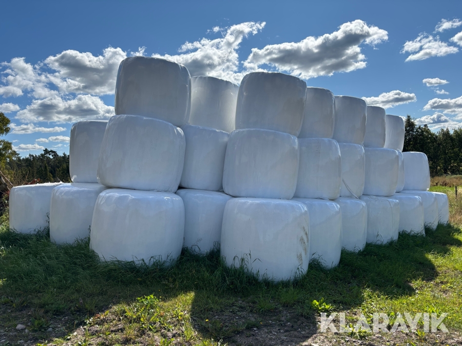 Ensilagebalar 55st