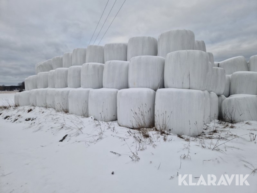 Ensilage 50st balar