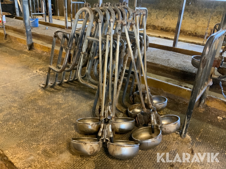 Vattenkoppar rostfritt 22st