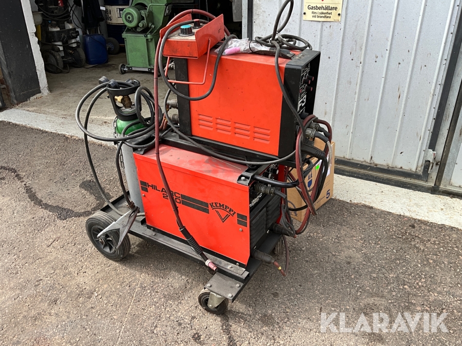 Tig och pinnsvets Kempii Hilary 250