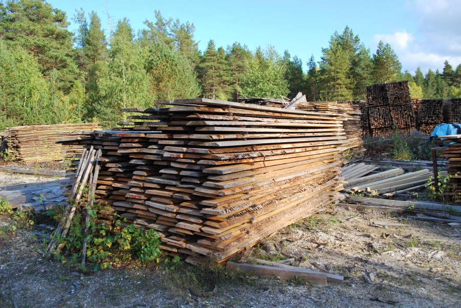 Parti med okantat virke 