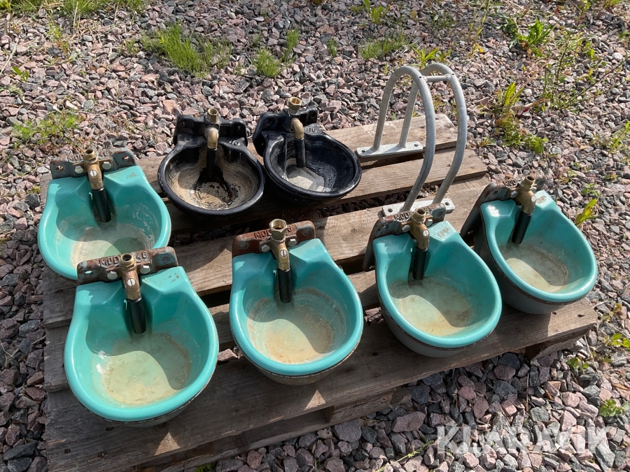 Vattenkoppar el Suevia 46 och H10 7 st