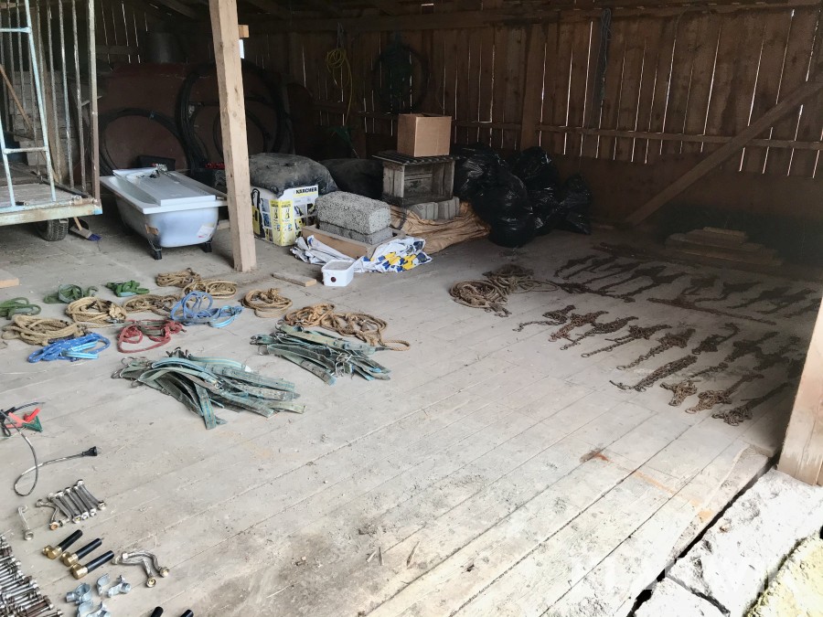 Diverse grimmor och halsremmar