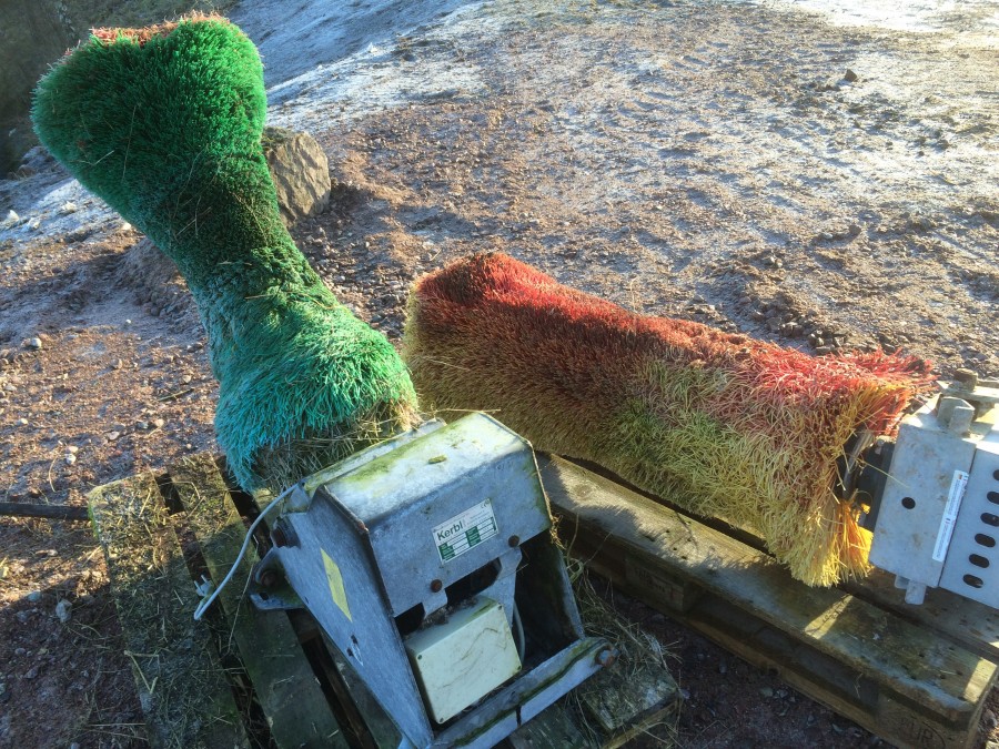 Elrykteborste/Koryktborste