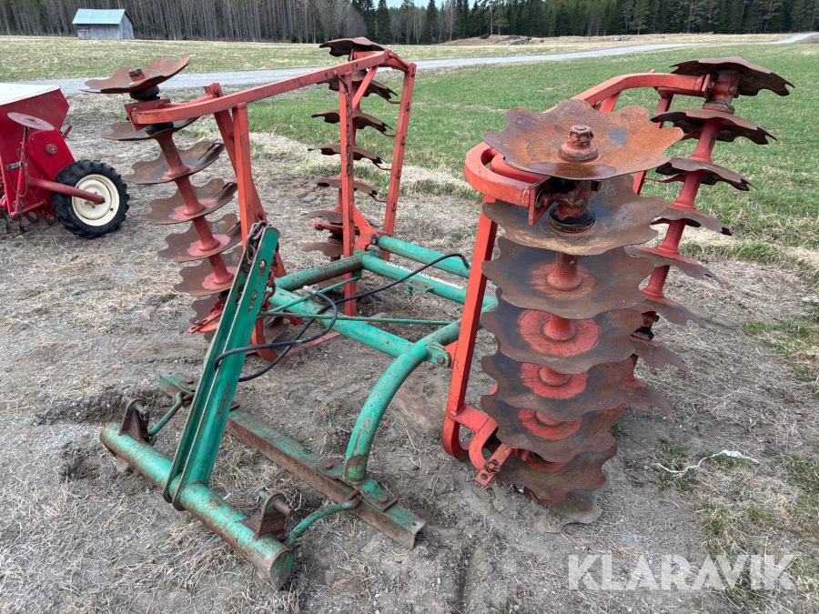 Tallriksharv / skålsvans Kverneland