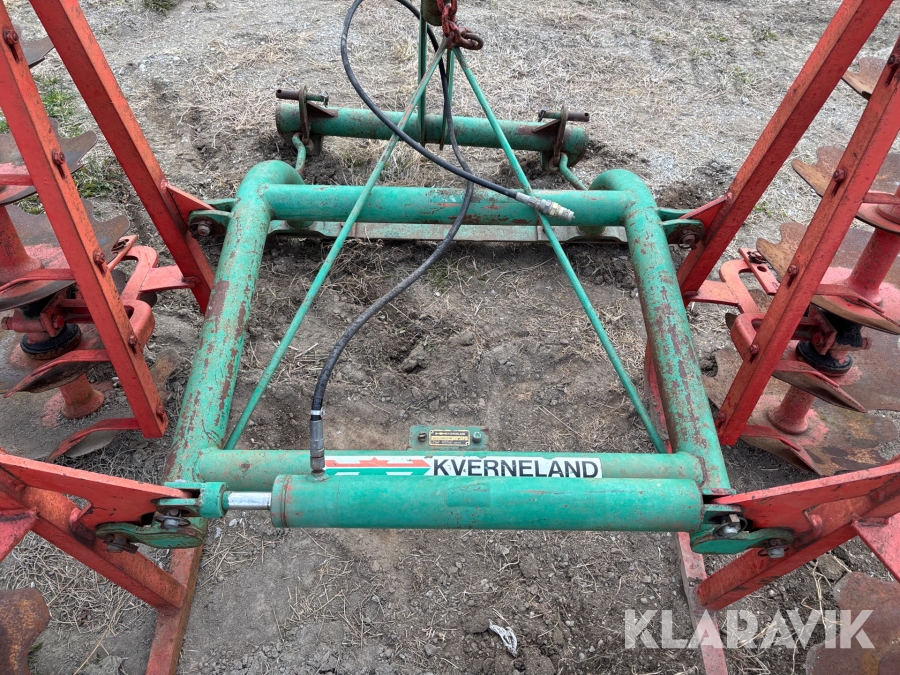 Tallriksharv / skålsvans Kverneland