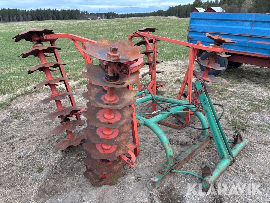 Tallriksharv / skålsvans Kverneland