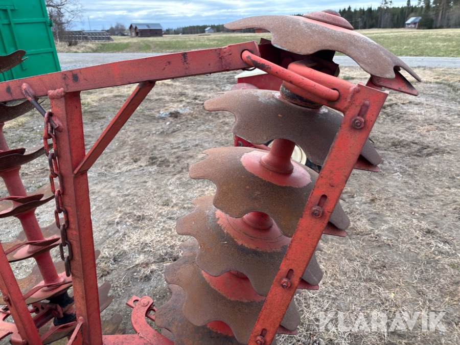 Tallriksharv / skålsvans Kverneland