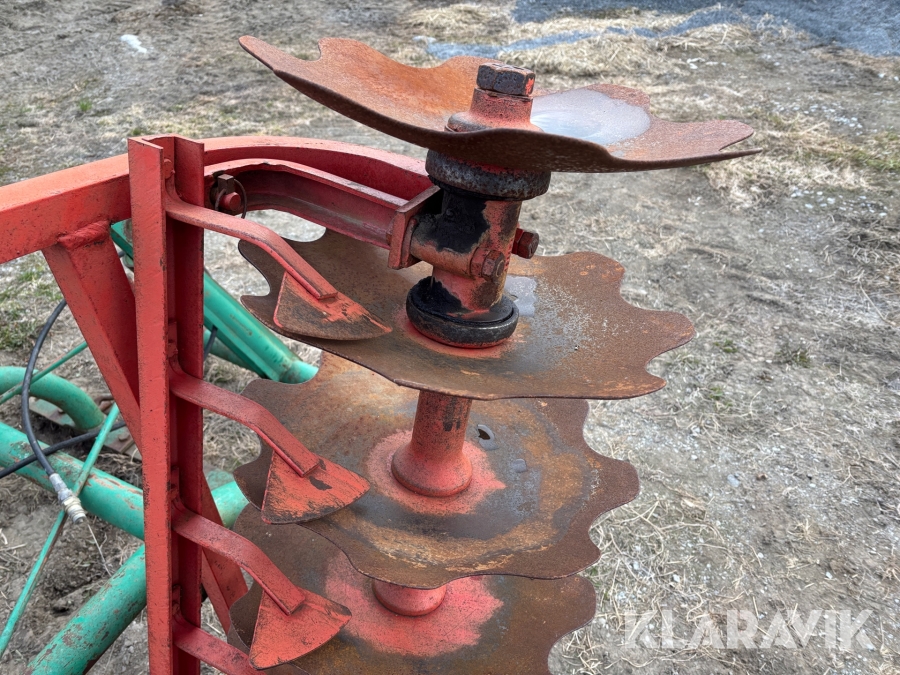 Tallriksharv / skålsvans Kverneland