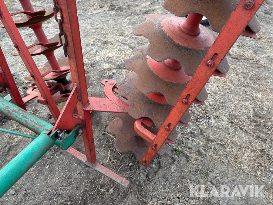 Tallriksharv / skålsvans Kverneland