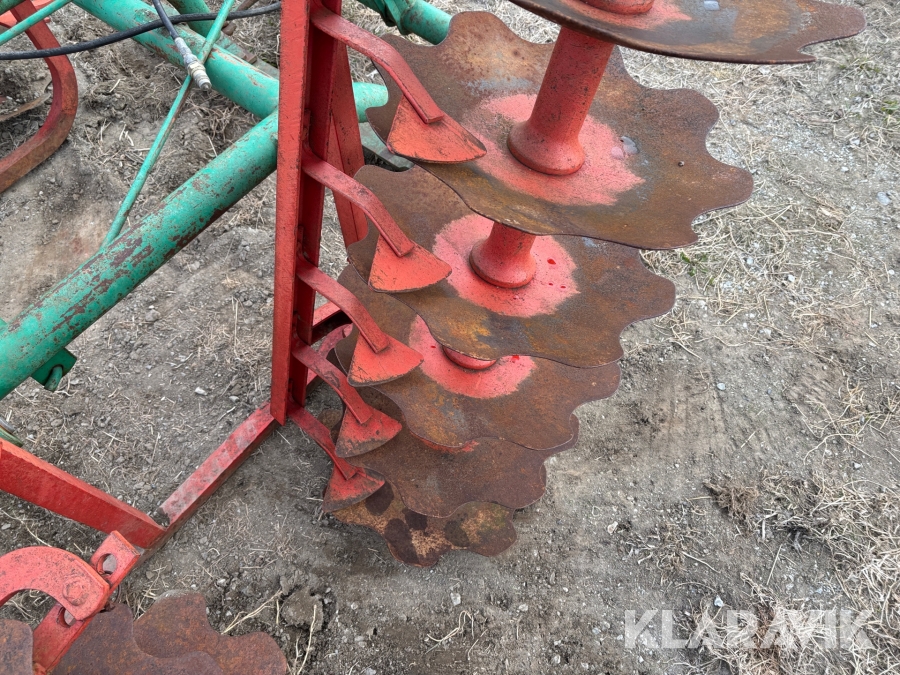 Tallriksharv / skålsvans Kverneland