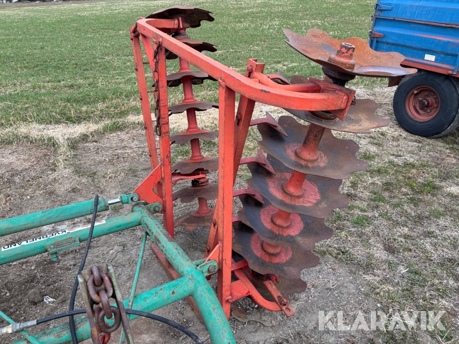 Tallriksharv / skålsvans Kverneland