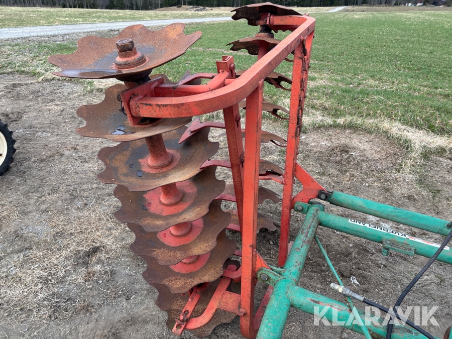 Tallriksharv / skålsvans Kverneland