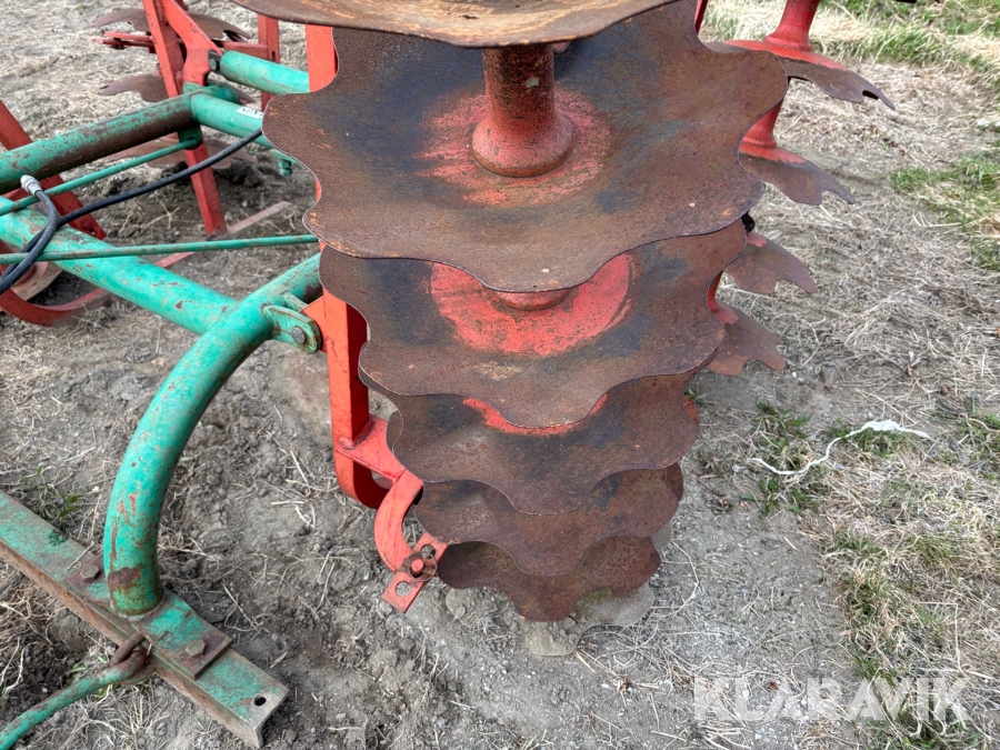 Tallriksharv / skålsvans Kverneland