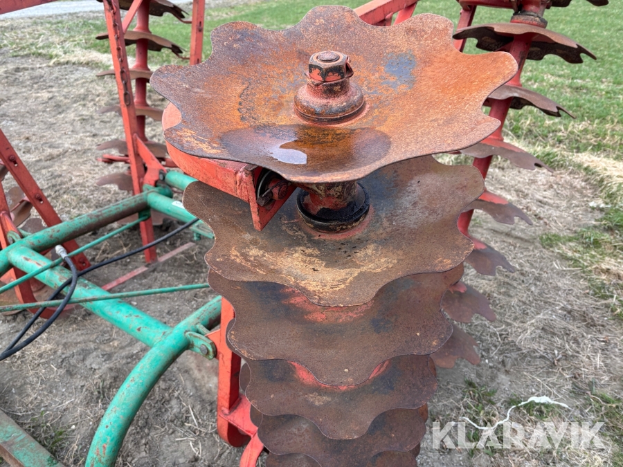 Tallriksharv / skålsvans Kverneland