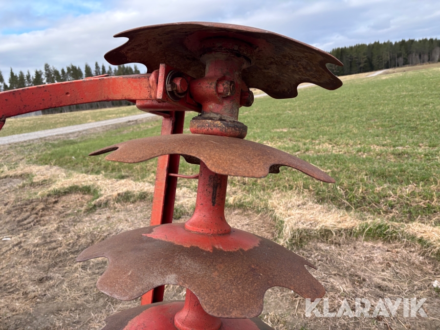 Tallriksharv / skålsvans Kverneland