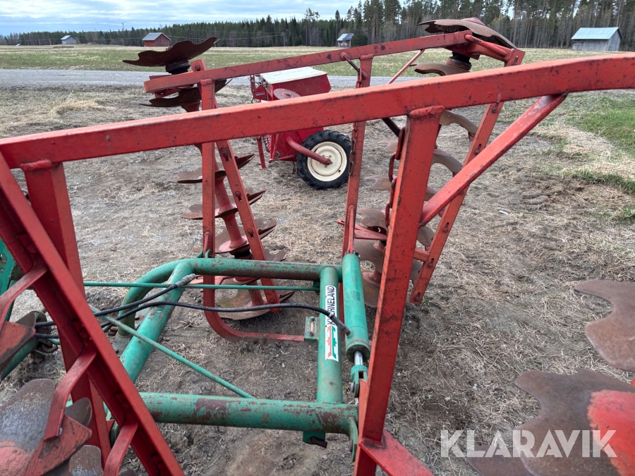 Tallriksharv / skålsvans Kverneland