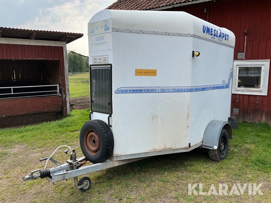 Hästtransport Umesläpet 1300kg