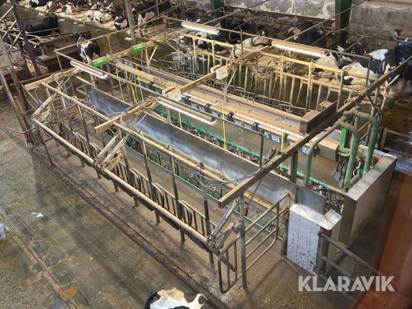 Komplett mjölkgrop Westfalia / Gea 2x8 side by side