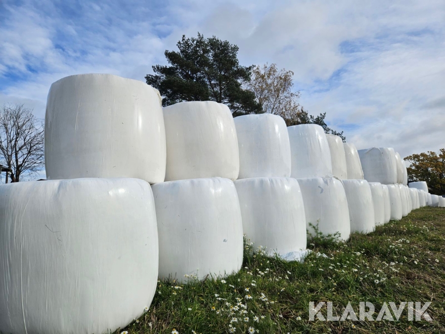 Parti med ensilage 52 st