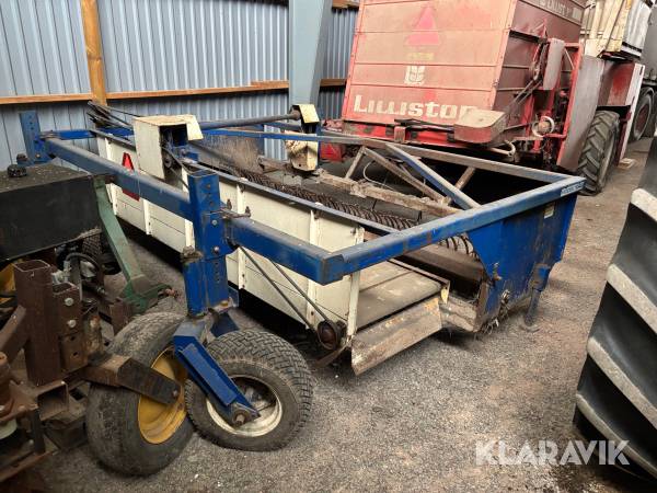 Bönräfsa Heath 1026