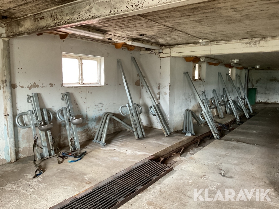 Inredning för kalvbås med vattenkoppar