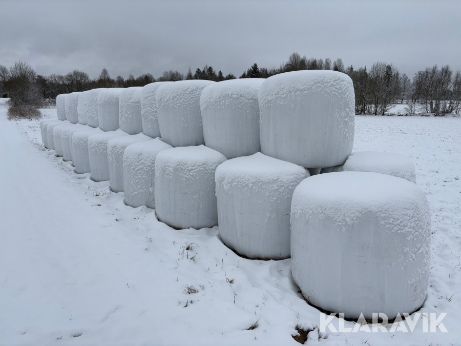 Ensilagebalar Ekologisk Vallfröblandning 35st