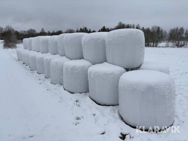 Ensilagebalar Ekologisk Vallfröblandning 35st