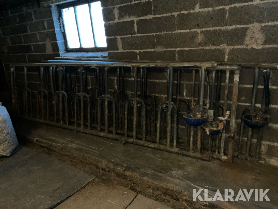 Foderfronter för ungdjur nöt