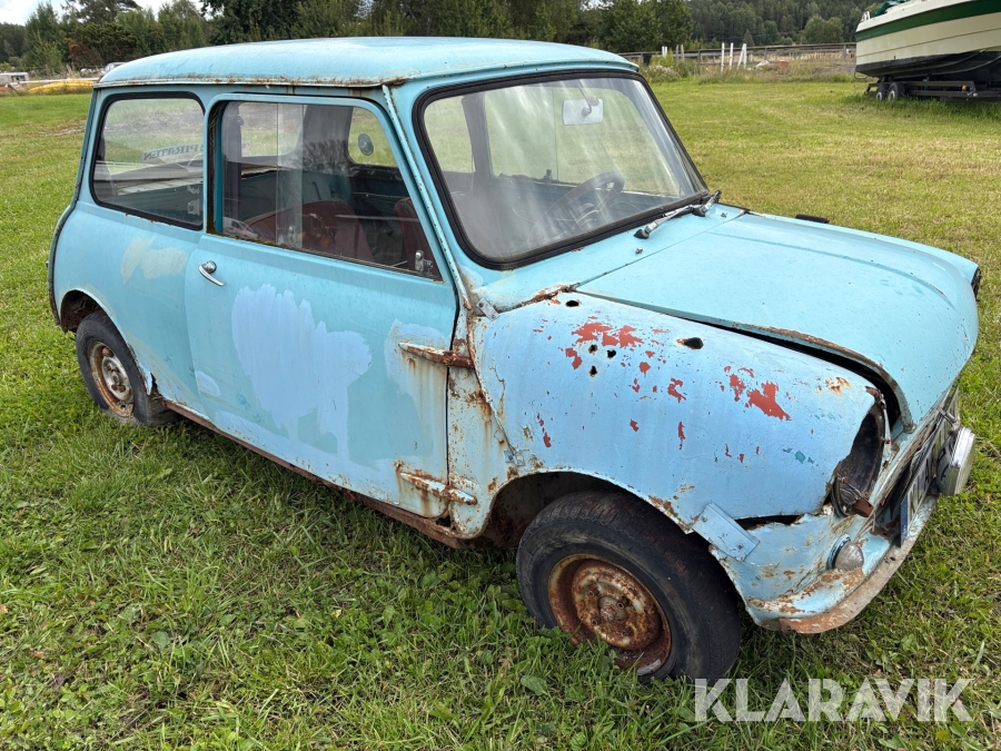 Hundkoja Mini BMC 850 Saloon Austin 1963