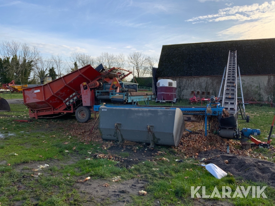 Avlastarbord för potatis och lök Amac BLS