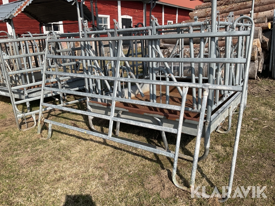 Fångstgrind med kalvsluss