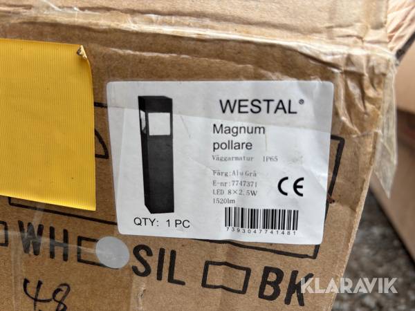 Pollare Westal Magnum