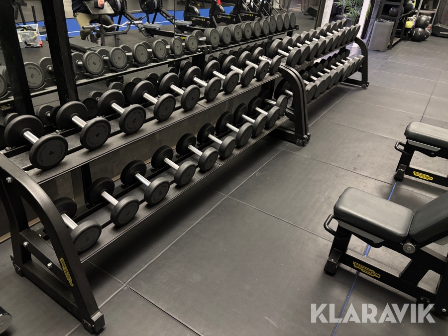 Gymutrustning TechnoGym Dumbbell rack 10 pairs 2st med hantlar