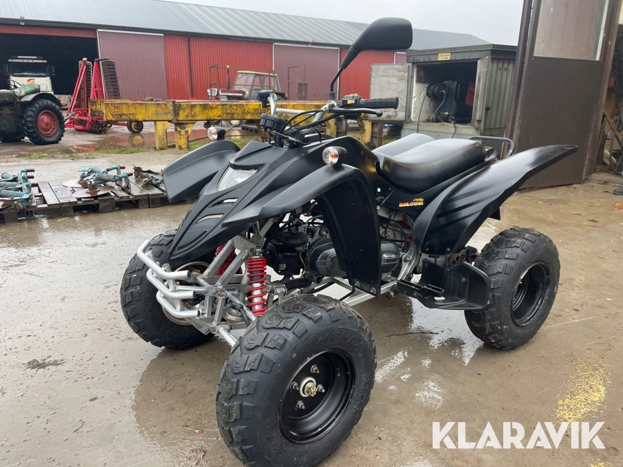 Fyrhjuling ADLY 50 RS