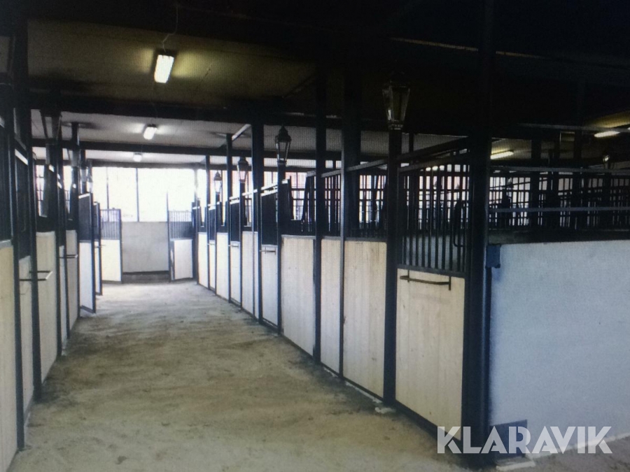 Boxinredning för häst