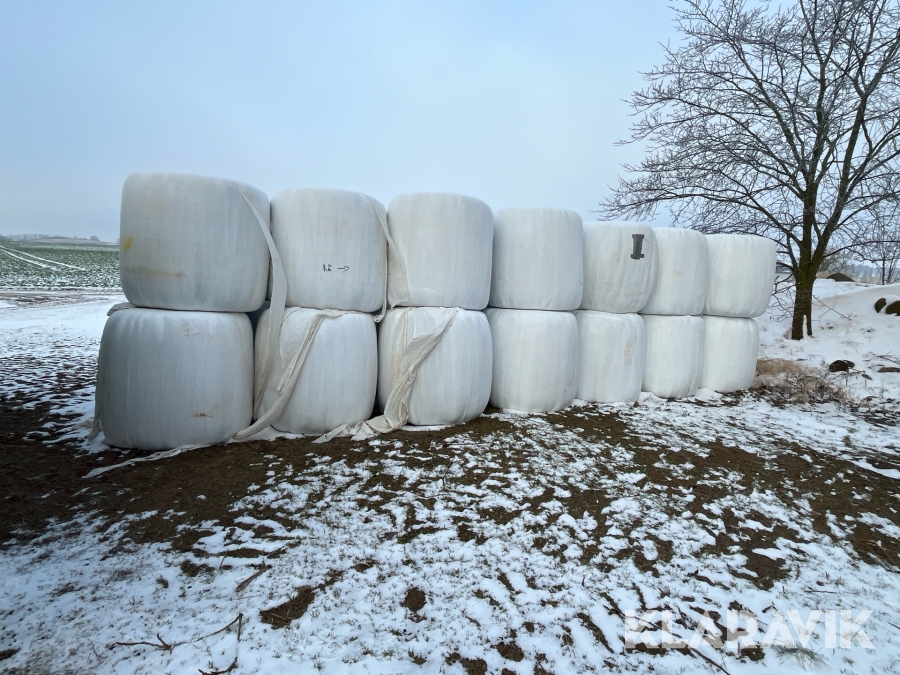Ensilage  21 stycken rundbalar