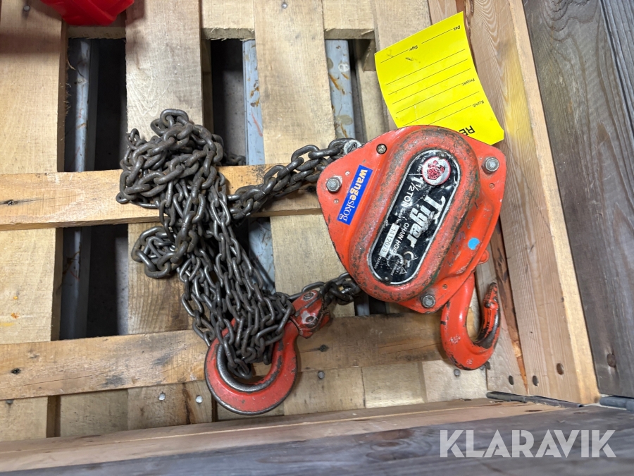 Kättingtelfer Tiger