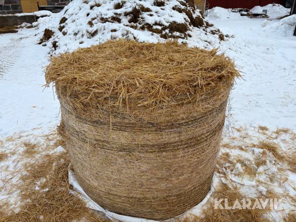 Vetehalm plastad 50 st