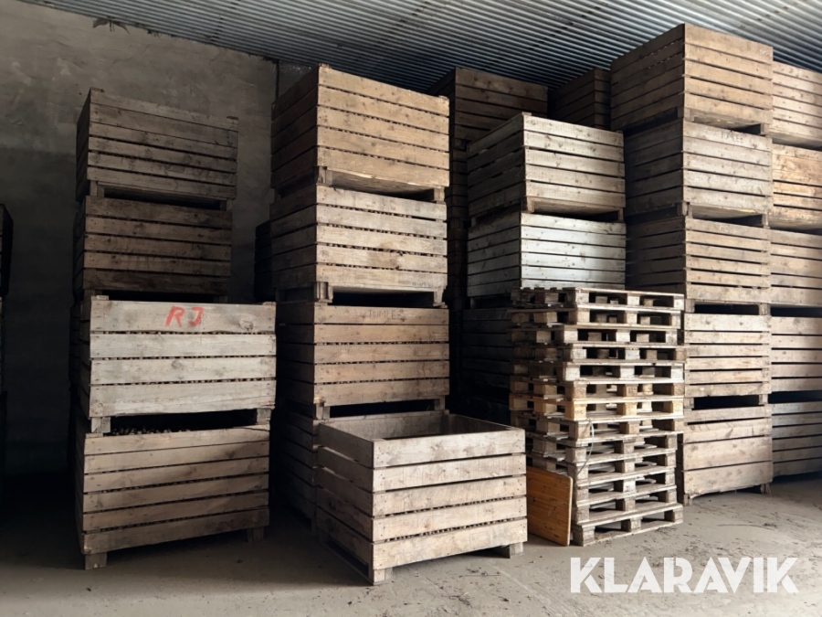 Potatislådor 100 st  