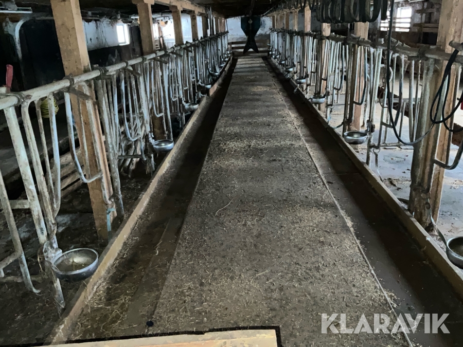 Foderplatser och boxar inredning för djurstall