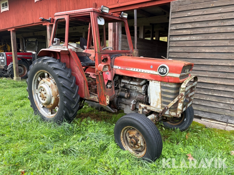 Veterantraktor Massey Ferguson 165