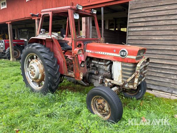 Veterantraktor Massey Ferguson 165