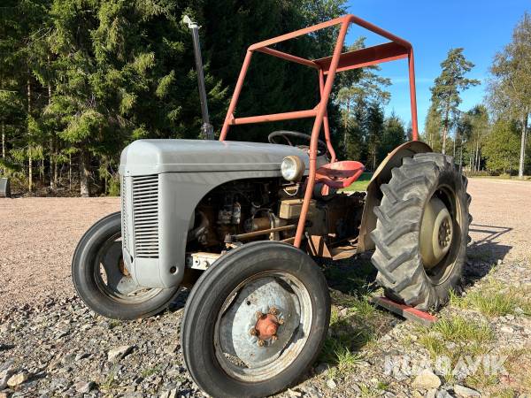 Veterantraktor Massey Ferguson Grolle