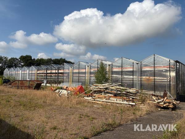 Växthus Venlo 1944m2