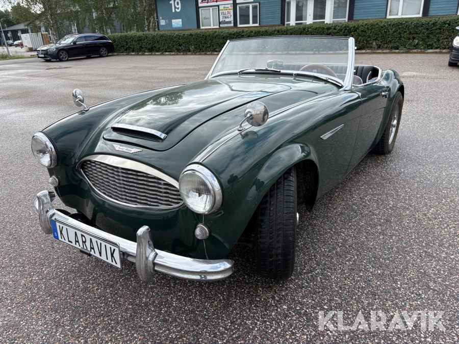 Cabriolet Austin Healey