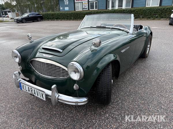 Cabriolet Austin Healey