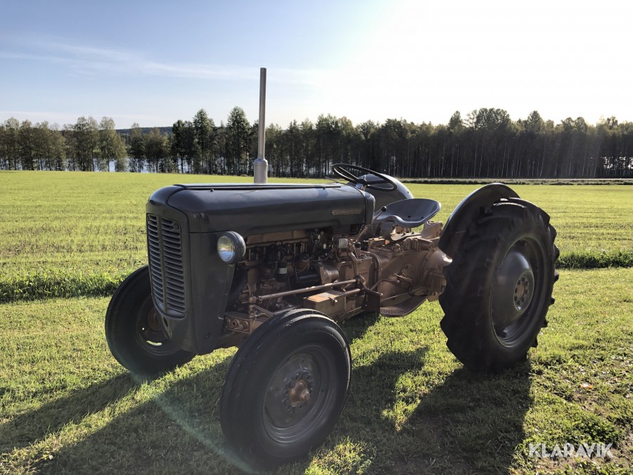 Veterantraktor Ferguson FE35 Guldkalv