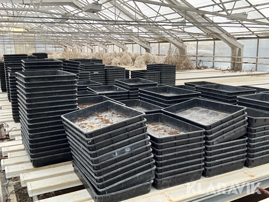 Plastlådor Hammenhögs Plantlåda ca 1100 st